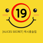 [ALICES SECRET] 섹시롱슬립 & 팬티 세트 NY14020046 (A46)