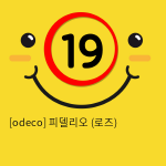 [odeco] 피델리오 (로즈)