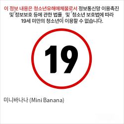 미니바나나 (Mini Banana)