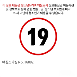 여성스타킹 No.H6002